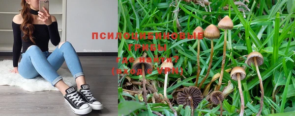 не бодяженный Абаза