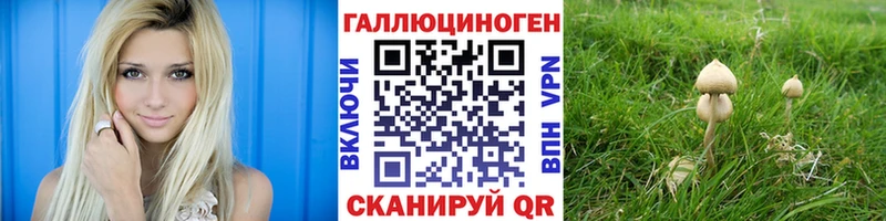 Галлюциногенные грибы MAGIC MUSHROOMS  Опочка 
