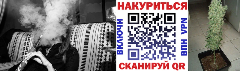 Канабис MAZAR Опочка